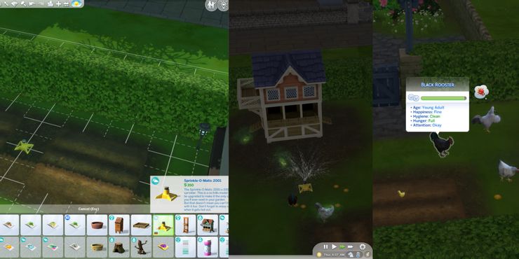 لعبة The Sims 4: كيفية تنظيف الدجاج