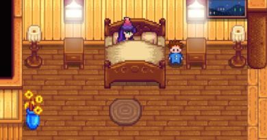 Stardew Valley: How to Have a Child