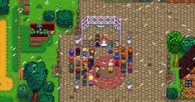 Stardew Valley - How to Get Married?