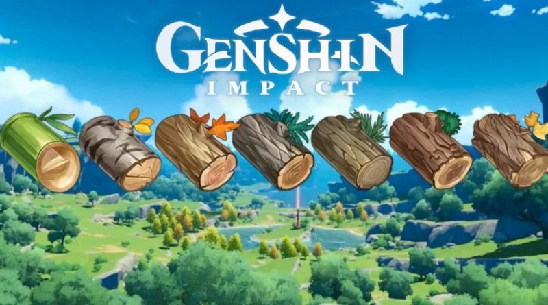 Nárazové dřevo Genshin