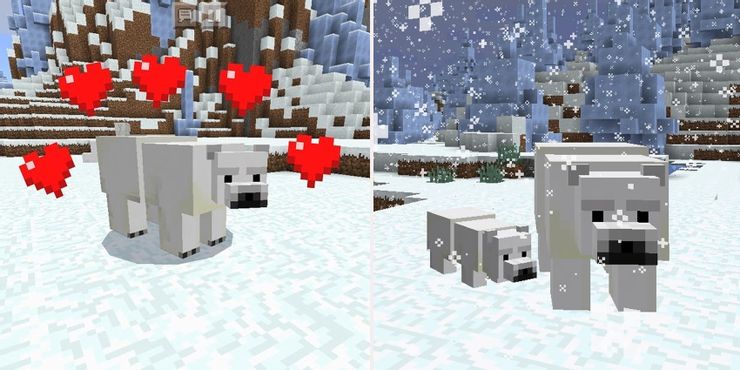 Minecraft 북극곰을 길들이는 방법