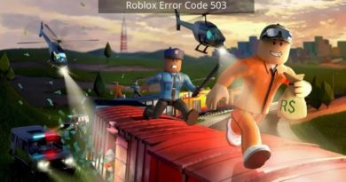 Roblox 오류 코드 503
