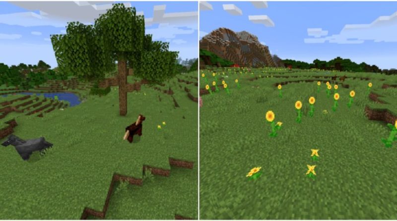 Minecraft Plains (Ova) Biyomunda Bulabileceğiniz Her Şey
