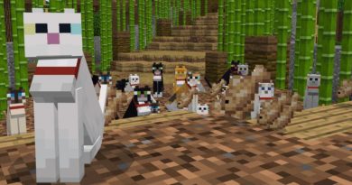 Minecraft: How to Tame a Cat