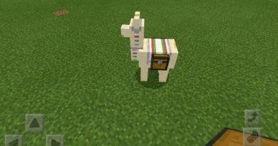 How to Raise a Minecraft Llama?