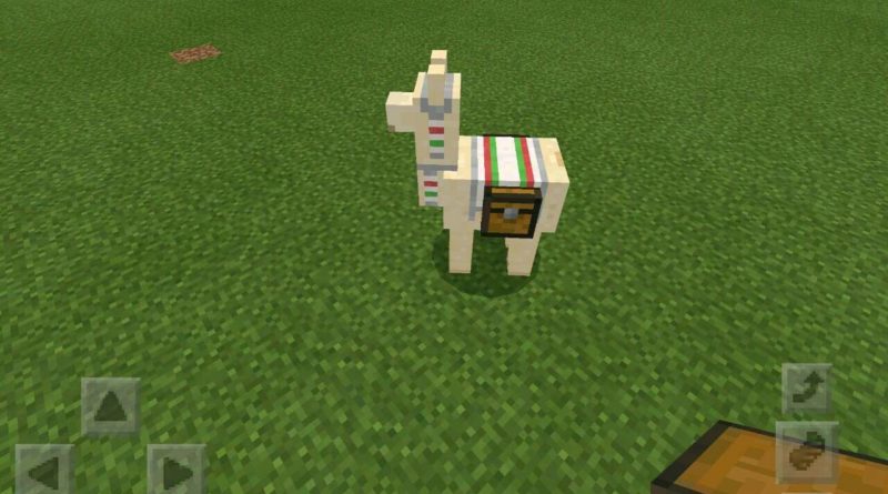 How to Raise a Minecraft Llama?