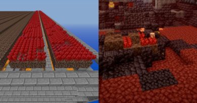Minecraft: How to Breed Nether Wart