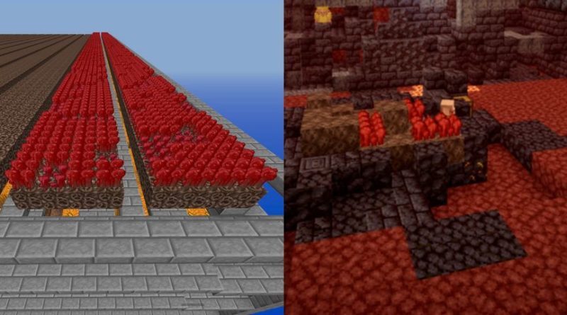 Minecraft: Comment élever la verrue du Nether
