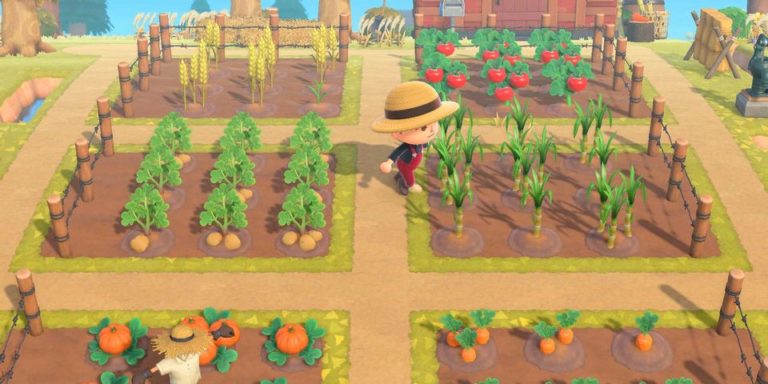 Animal Crossing: New Horizons Как получить пшеницу