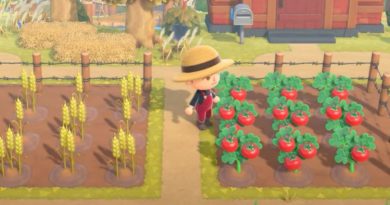 Animal Crossing: New Horizons Kde najít zeleninu