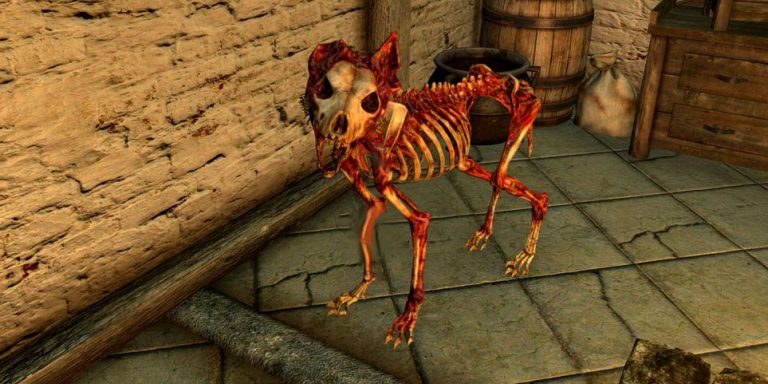 Skyrim: Bone Wolf