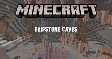Minecraft: Damlatas-Höhlen