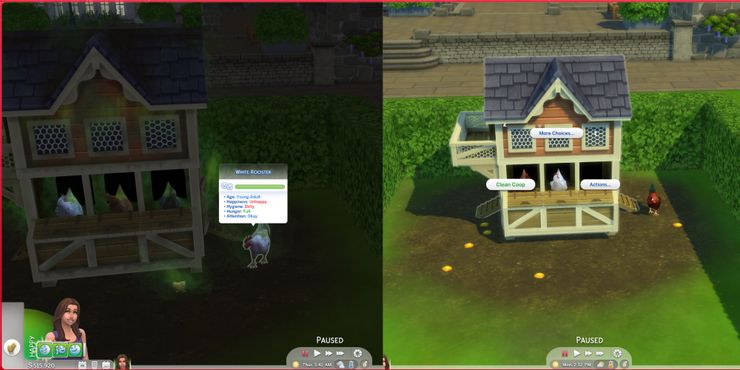 The Sims 4: Tavuklar Nasıl Temizlenir?
