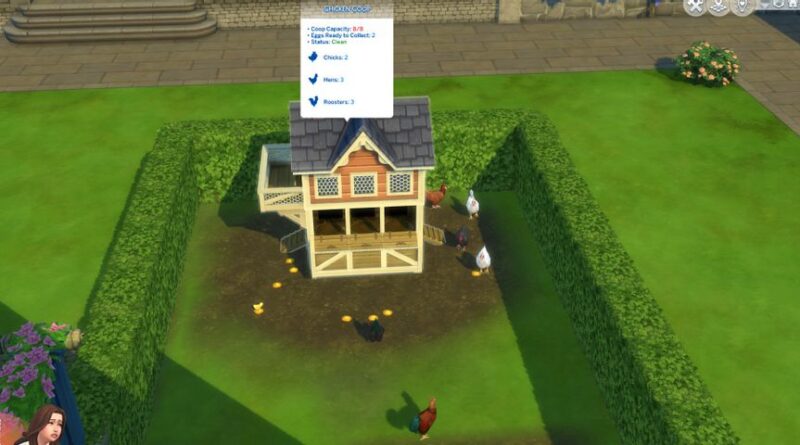 Die Sims 4: Hühner putzen