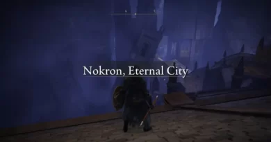 Elden Ring Nokron Eternal City guide item npc grace